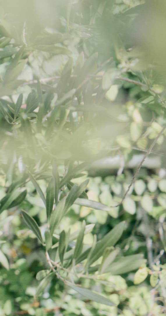 mille – ミル – 美容室 [ 美容院 ヘアサロン ] 神戸 東灘区 甲南山手駅のフォト作品