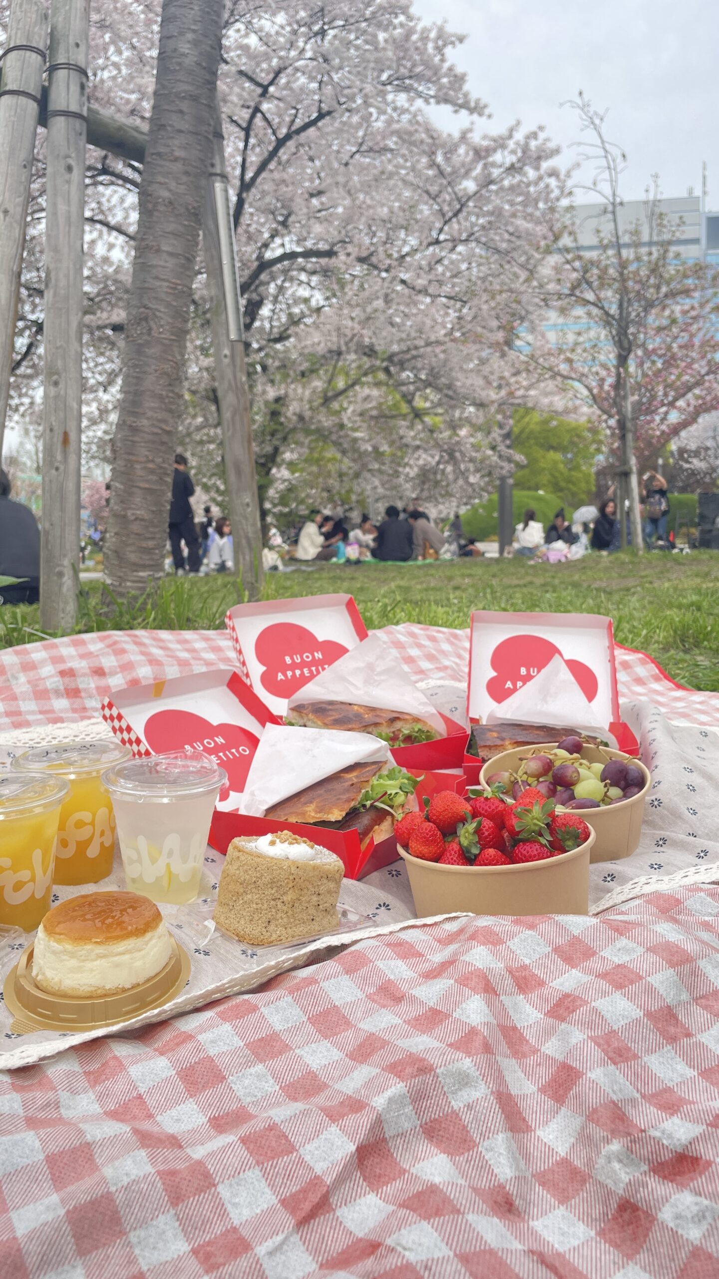 お花見ピクニック