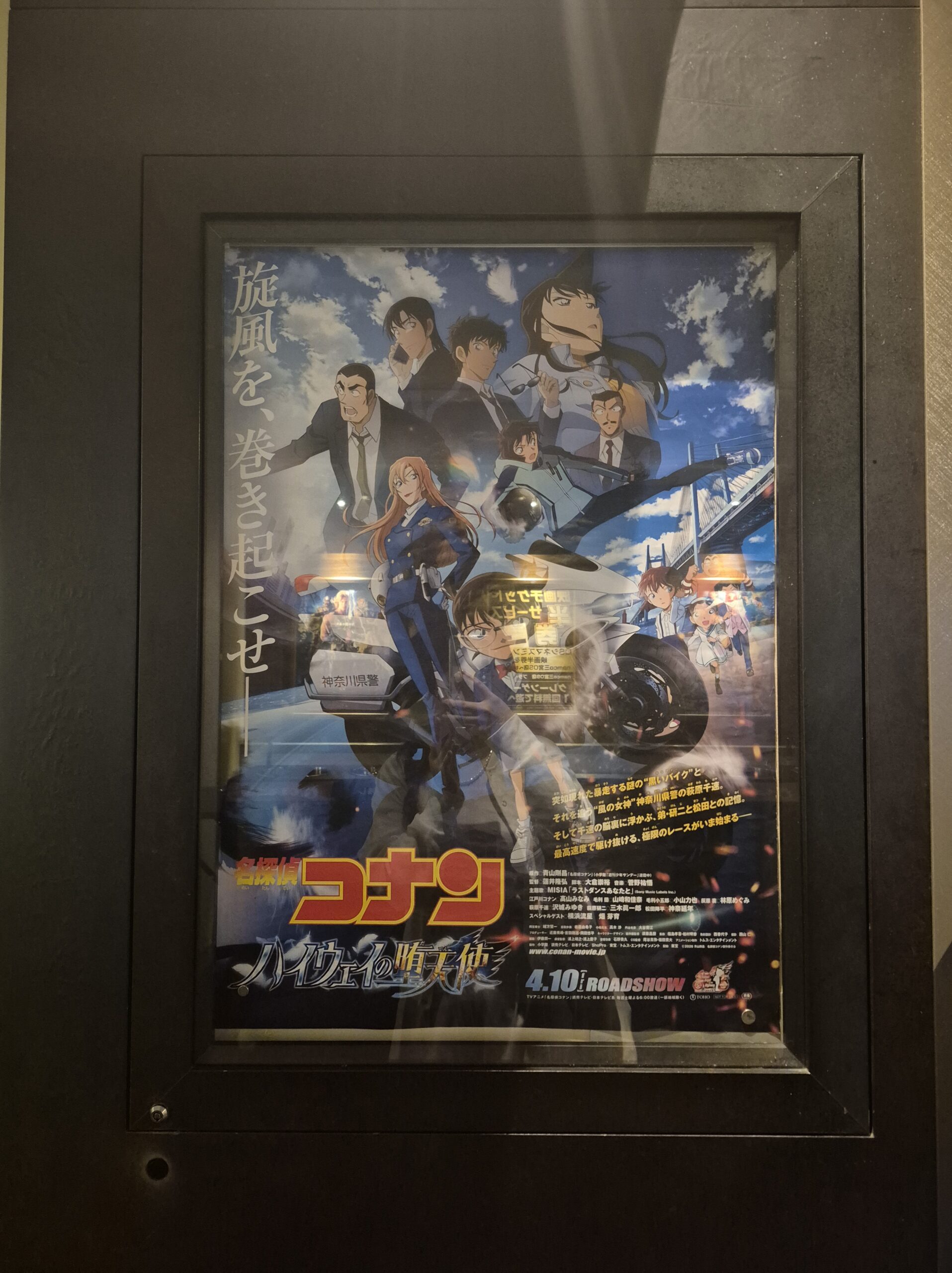 やっと観に行けました！