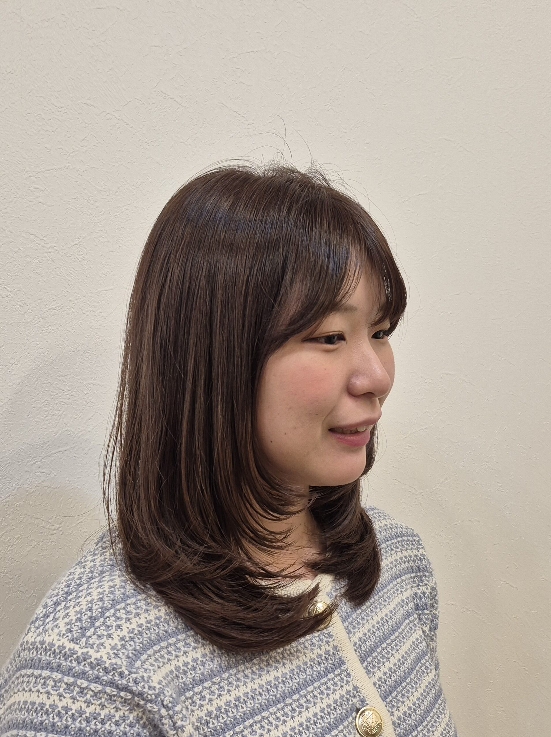 カットモデル